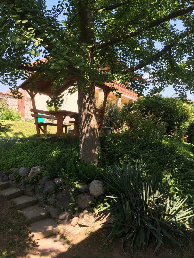 Bogoly Apartman Tokaj Exterior foto